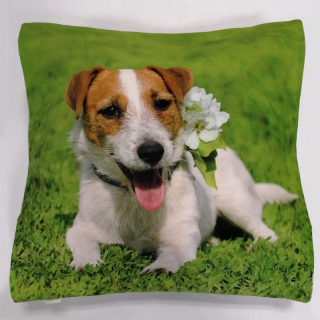 FOTO povláček 40 x 40 cm - Pes 03