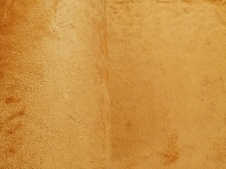 Plyš  - metráž - Teran barva 256 medová