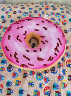 Polštářek Donut růžový - rozměr 40 cm 